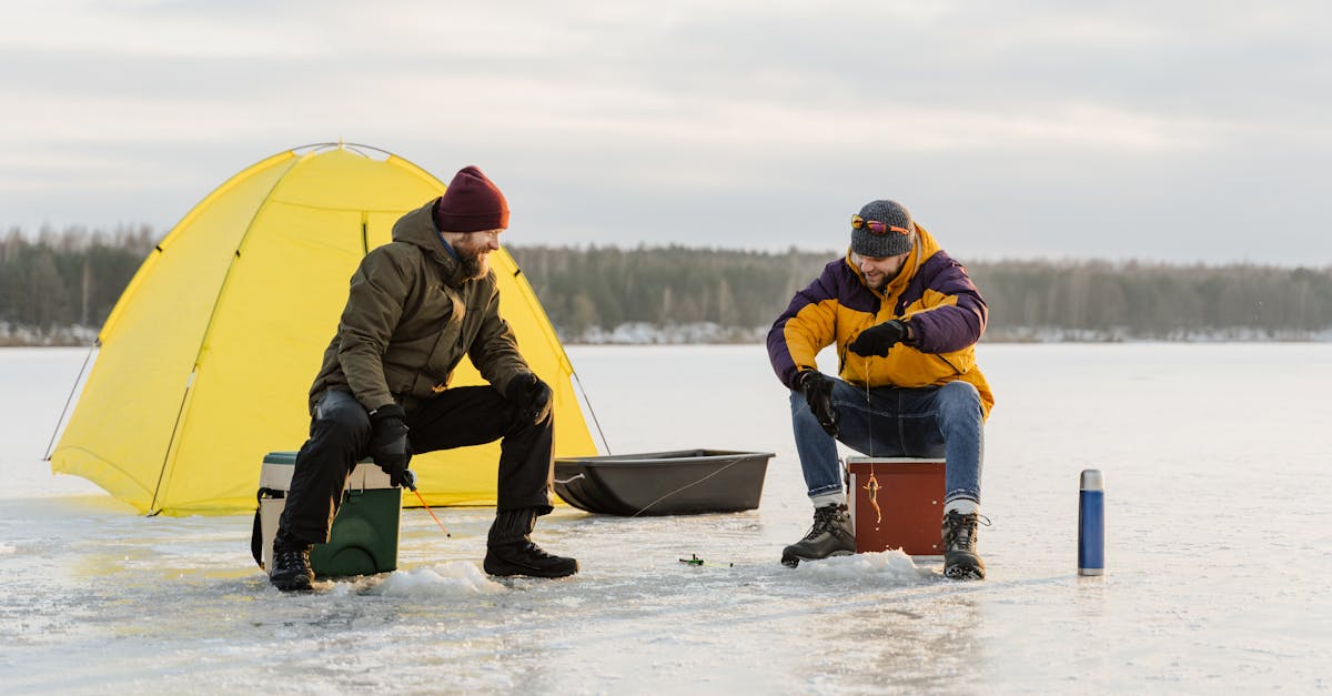 A Brief History of Frozen Fish in the Market