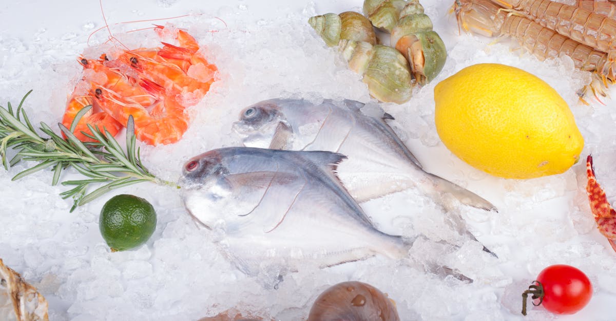 Best Online Retailers for Frozen Fish