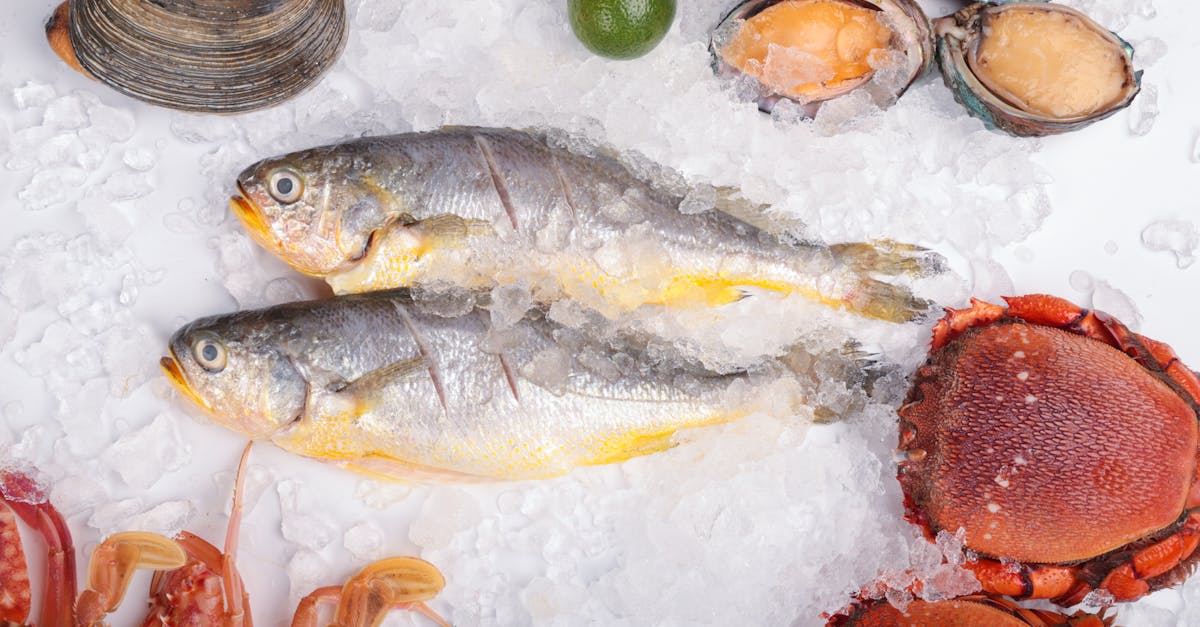 How to Choose Quality Frozen Fish for Your Home