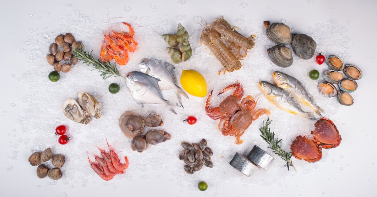 How to Choose the Best White Fish for Freezing