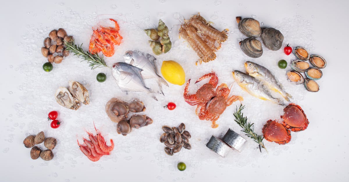 How to Find the Best Online Retailers for Frozen Fish