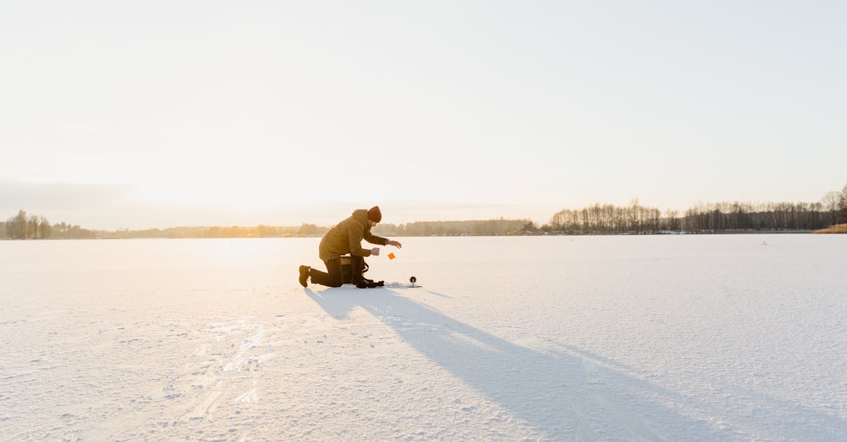 How to Identify Freshness in Frozen Fish