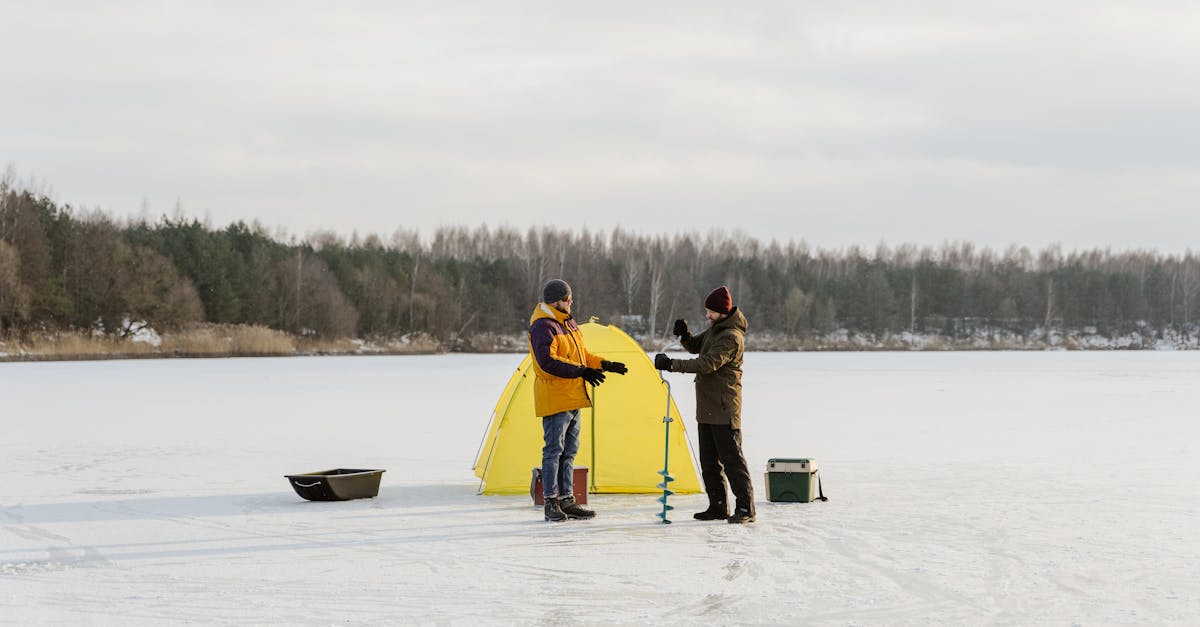 How to Properly Store Frozen Oily Fish