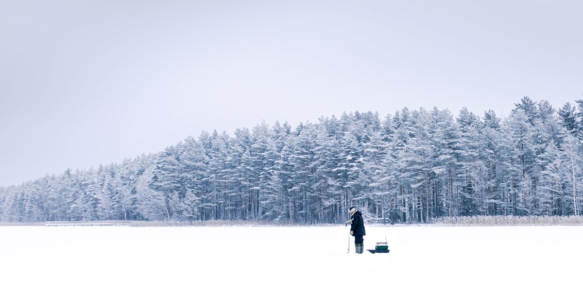 Review of the Best Frozen Oily Fish Brands