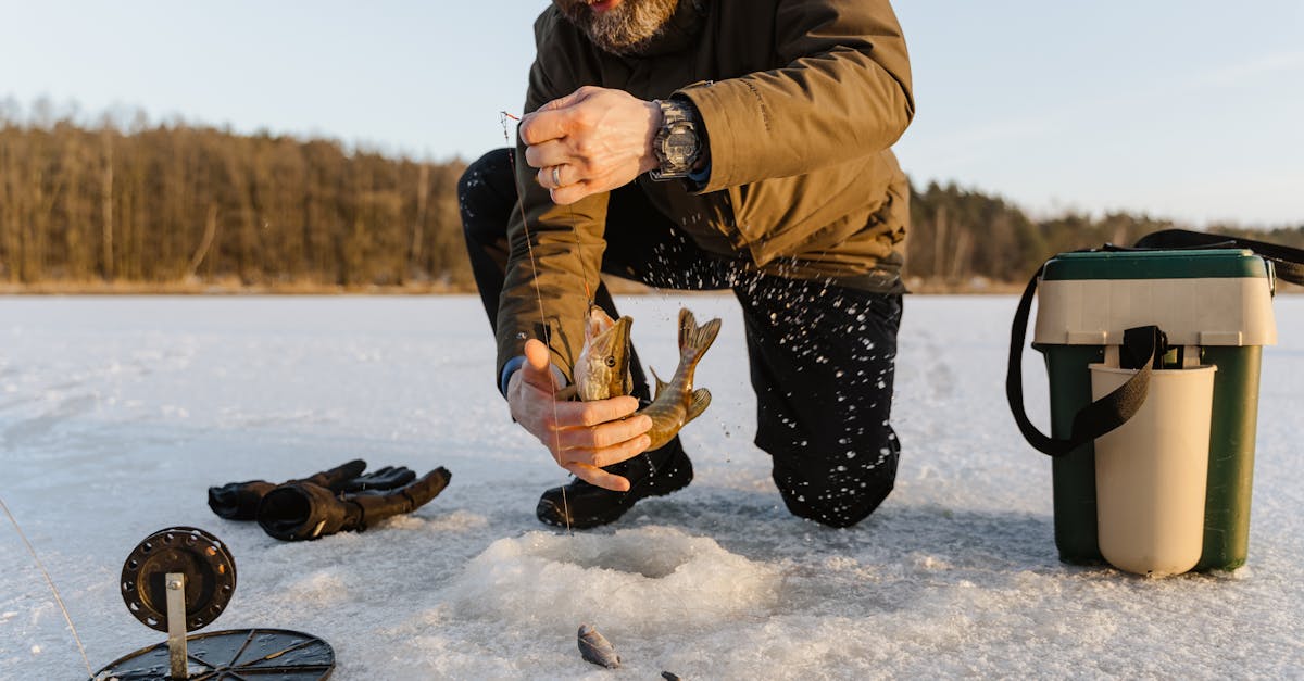 Roundup of Online Deals for Frozen Fish