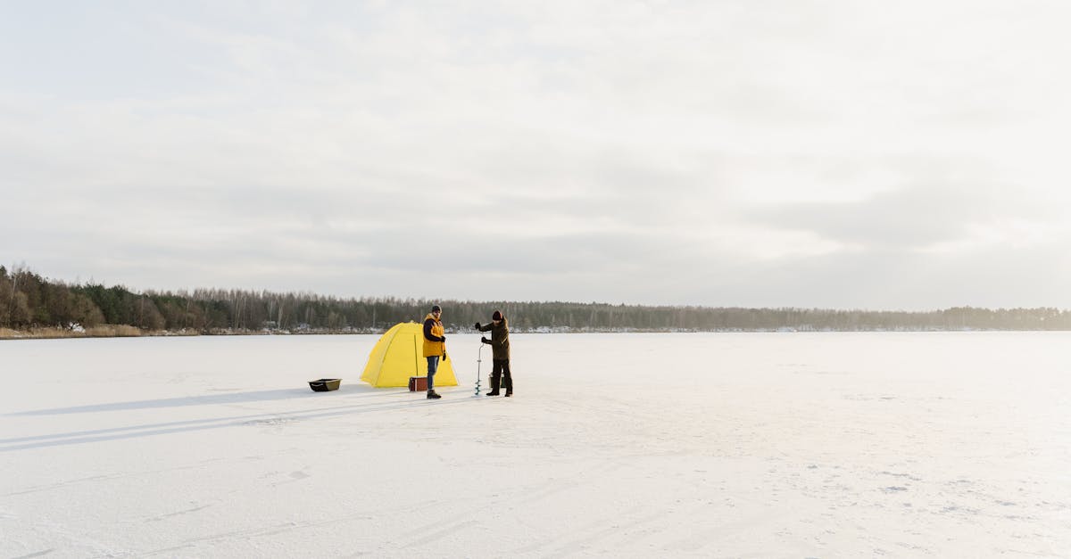 Roundup of the Top Frozen Oily Fish Products