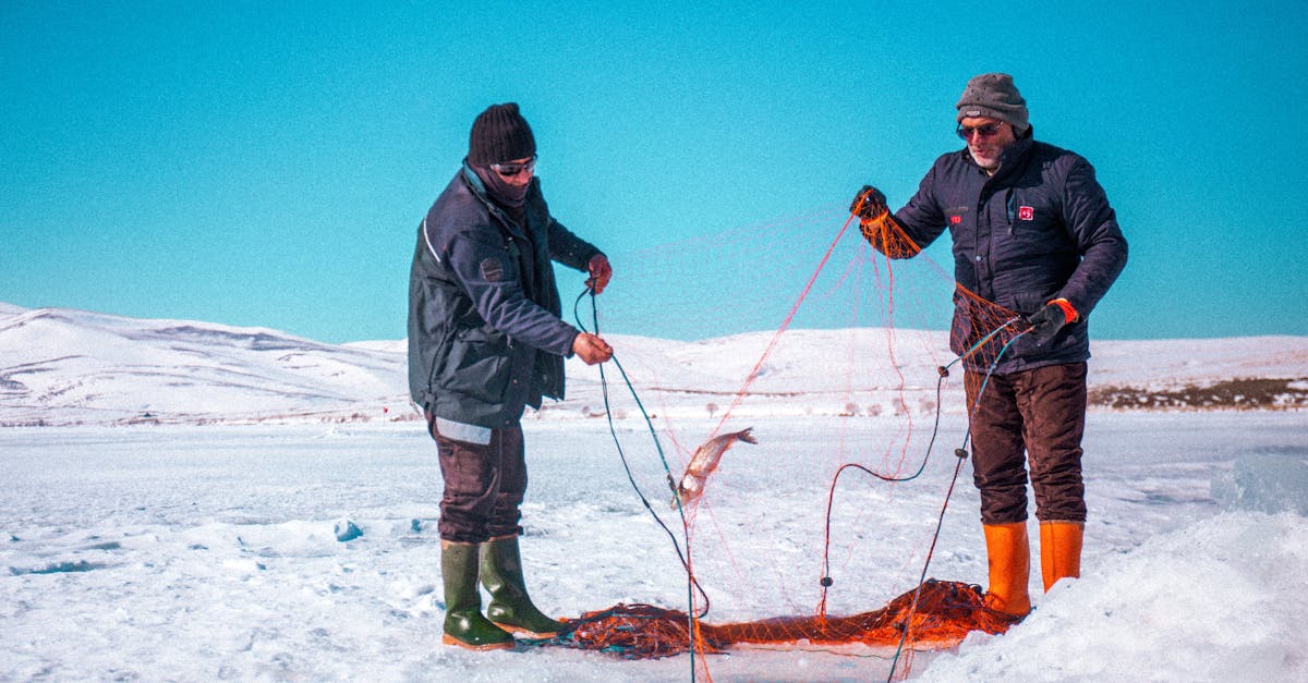 The History of Frozen Fish and Its Online Market