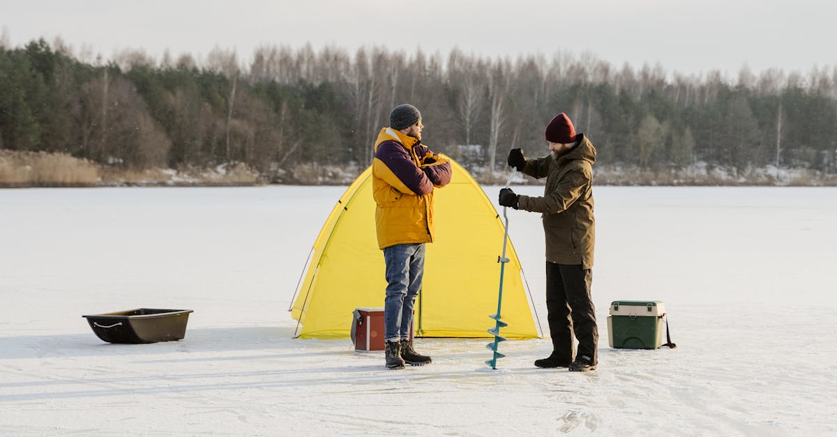 What to Look for When Buying Frozen White Fish