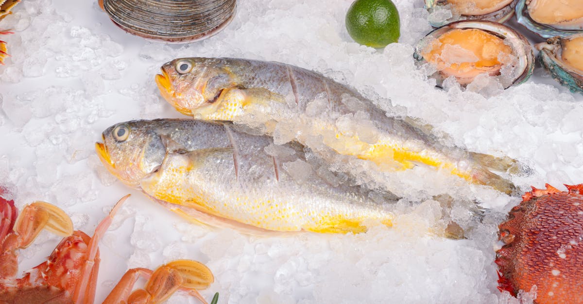 Why Frozen Seafood Mixes are a Convenient Option